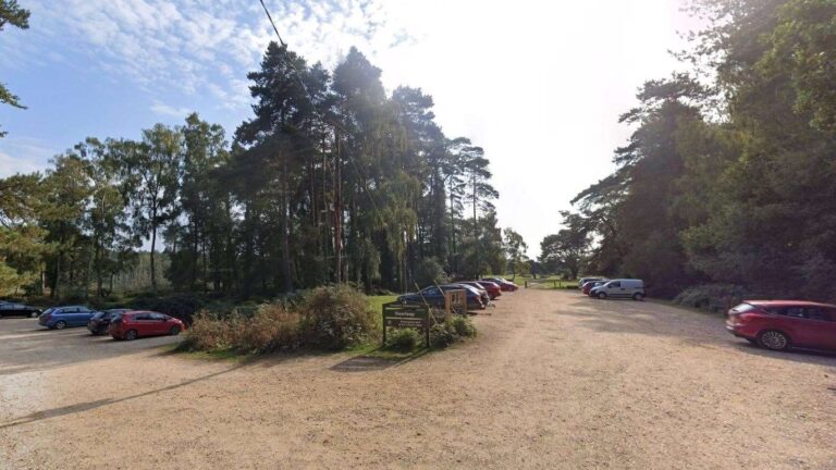 Exploring the Best of the New Forest at Deerleap Car Park